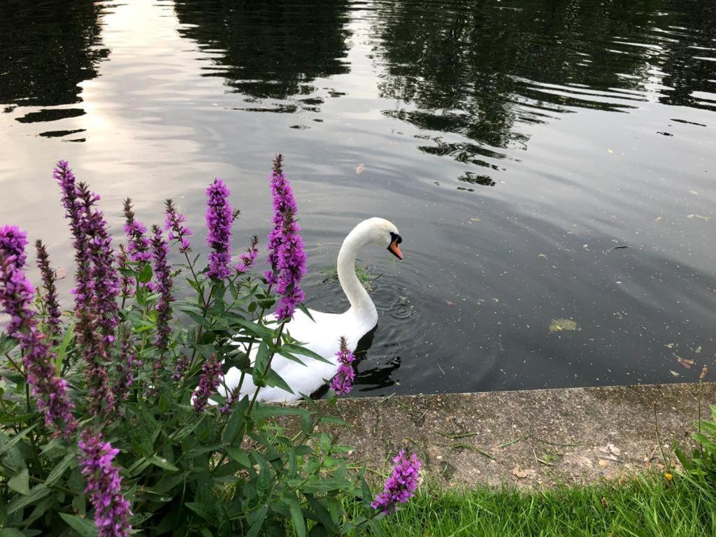 Cozy Double Bedroom In Stunning Bungalow On River Thames - Near Thorpe Park/Royal Holloway University/20Mins From Heathrow Staines-upon-Thames Екстер'єр фото